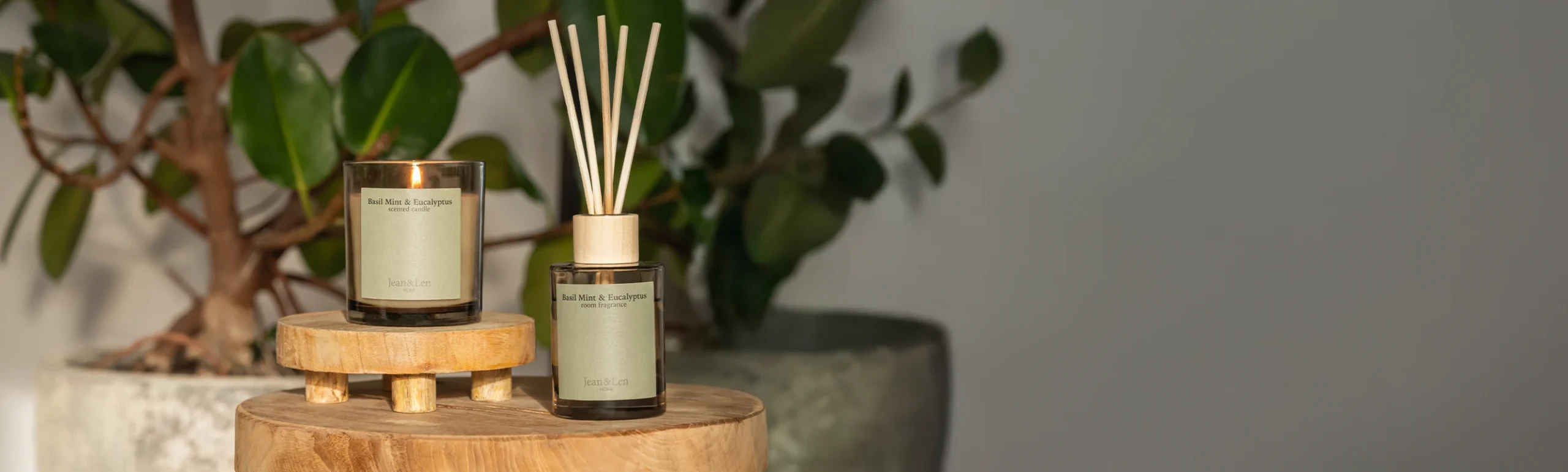 Luftbefeuchter Verkaufsladen -LuftHaus Verkaufs-Shop banner26 scaled